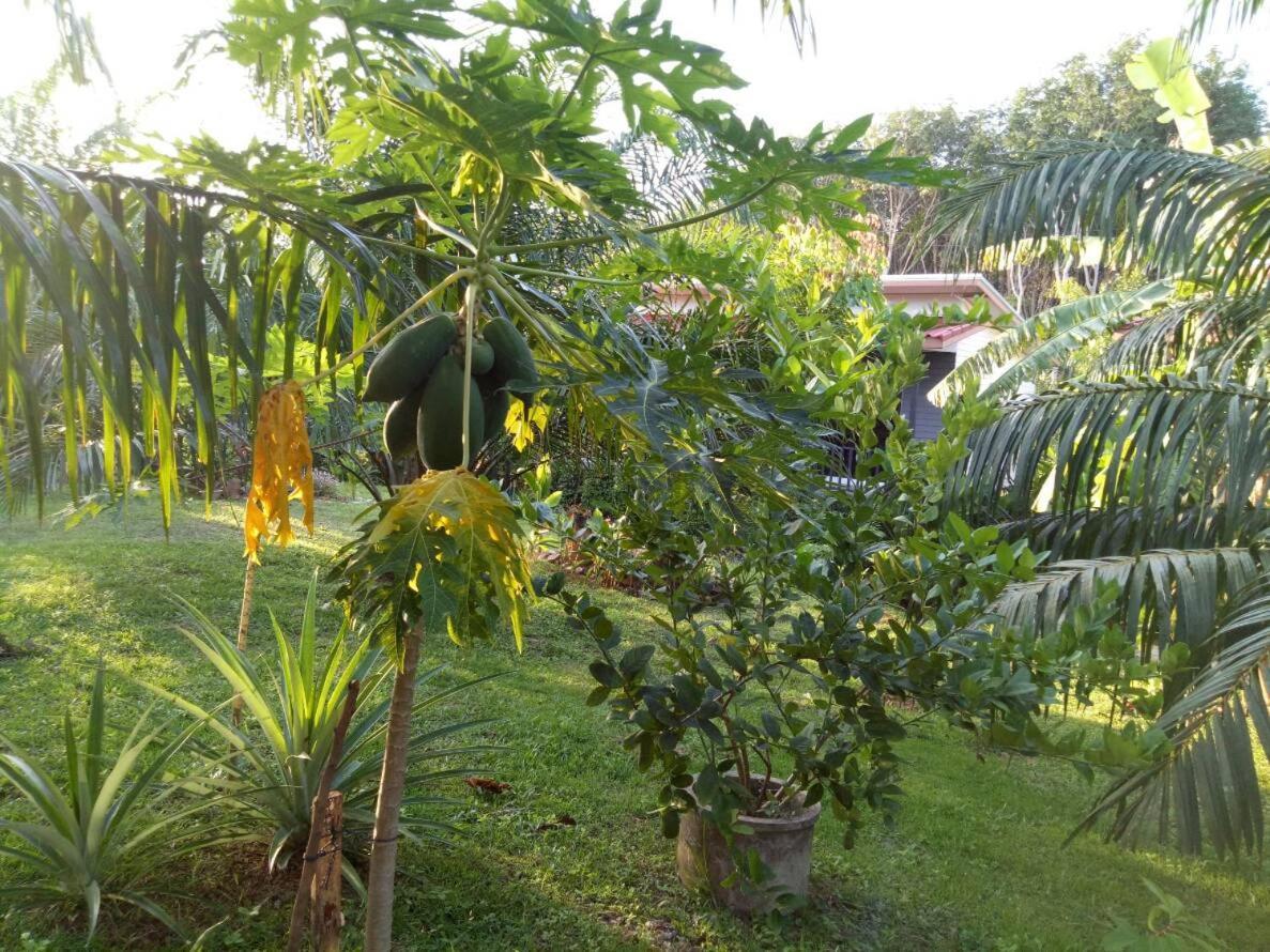 Baan Reenaa Lanta Ko Lanta Exterior foto